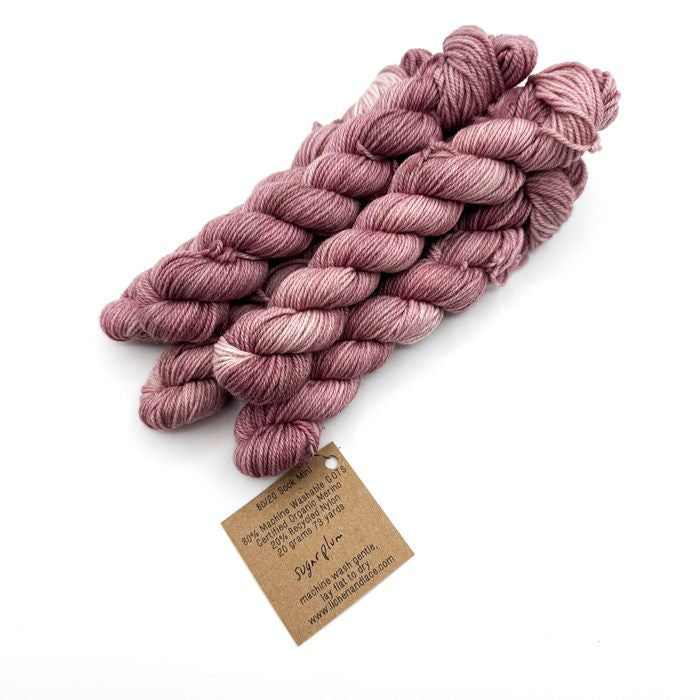 80/20 Sock Mini | Lichen and Lace