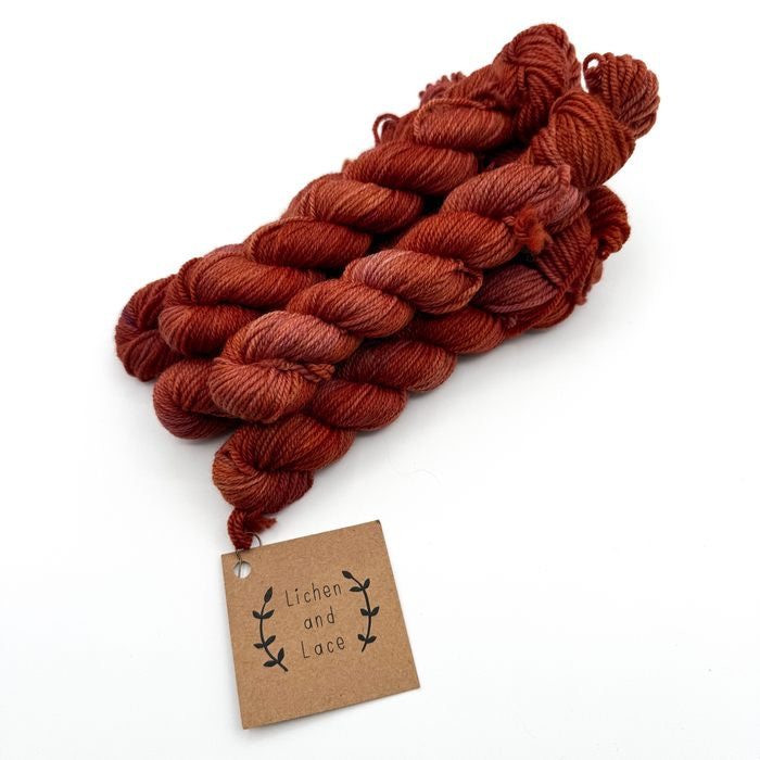 Sunburnt Lobster | 80/20 Sock Mini