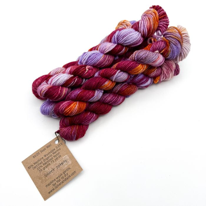 80/20 Sock Mini | Lichen and Lace