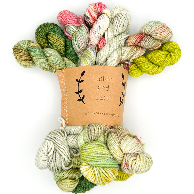 Wildflower Whimsy | Mini Sock Fade Set