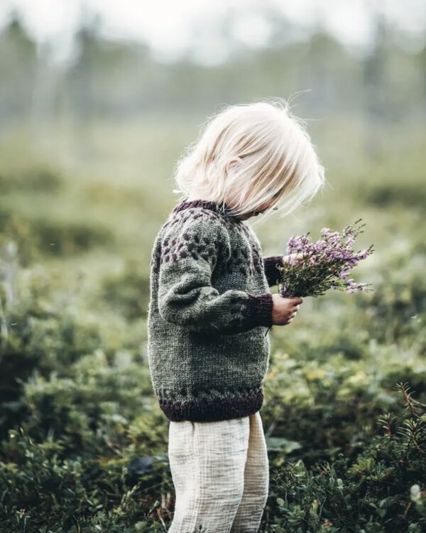 Arctic Knitting Book