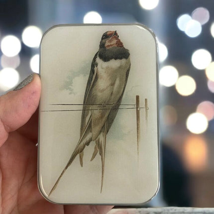 Firefly Notes Vintage French Swallow Tin - Large