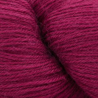 Beet 5793 | Cascade Heritage