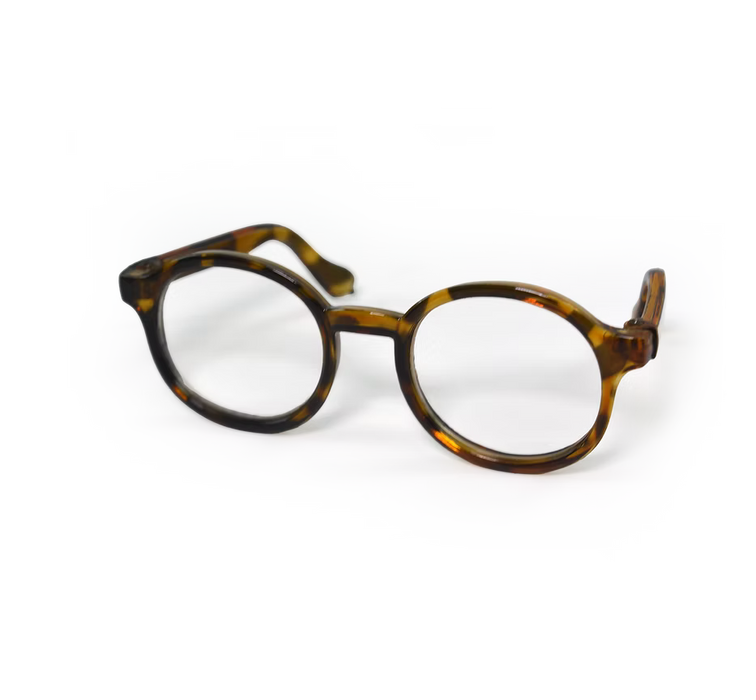 Tortoise Shell Frame | Glasses