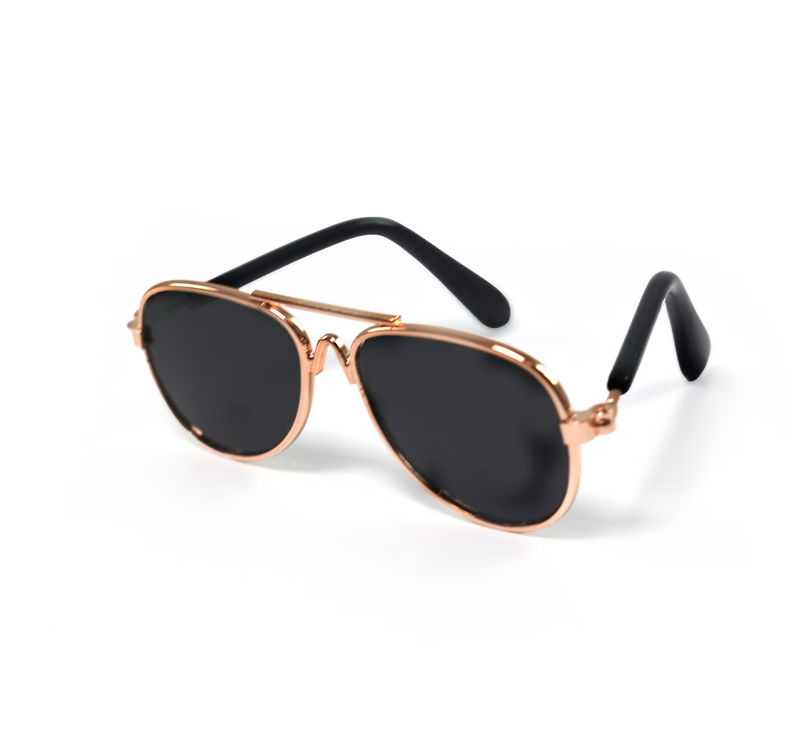 Aviators | Glasses