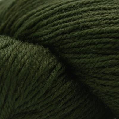 0015 Kale | Cascade BFL