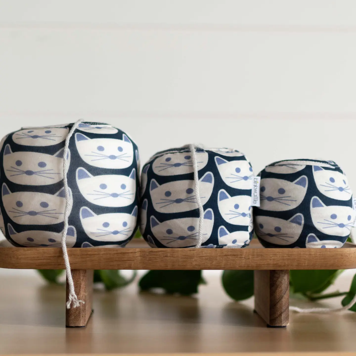 Kitty Cozy | Cozy Cakes