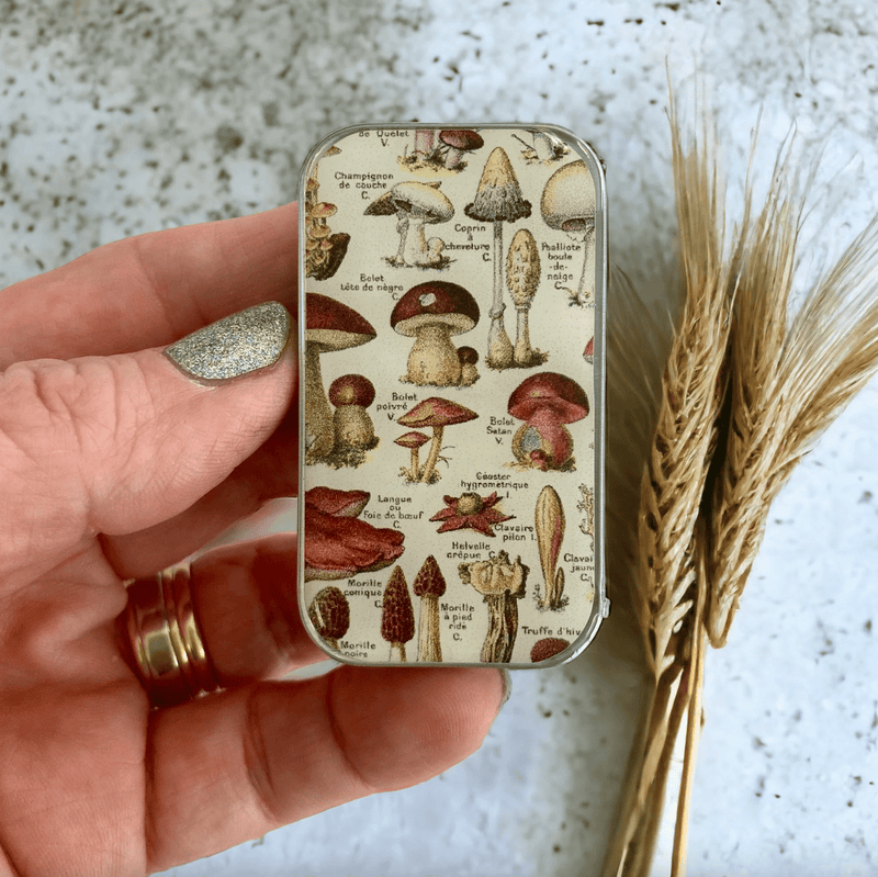 Mushrooms | Notions Tin