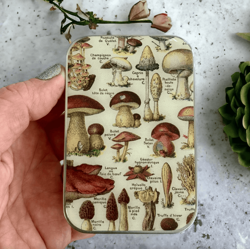 Mushrooms | Notions Tin