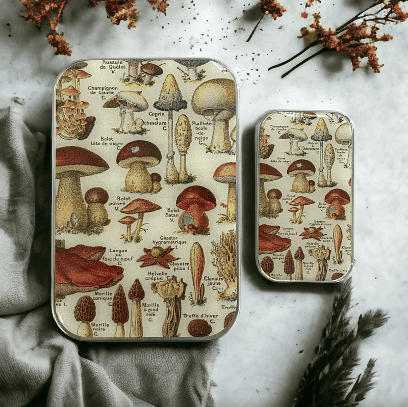Mushrooms | Notions Tin