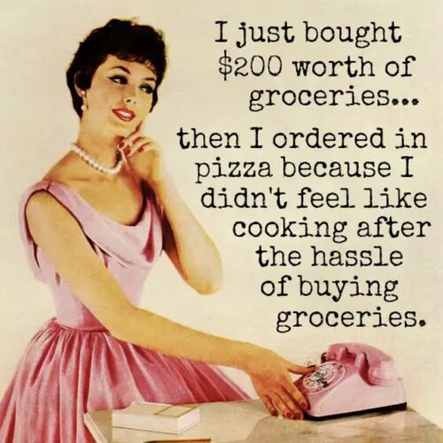 I Just Bought $200 Worth of Groceries... Magnet