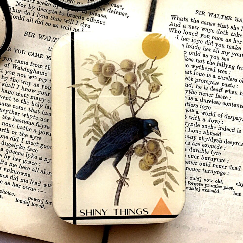 Shiny Things Crow | Notions Tin