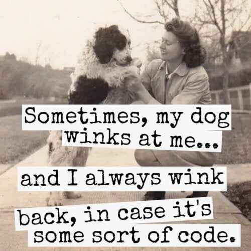 Sometimes, my dog winks at me... Magnet